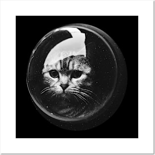 Cat In Space Posters and Art